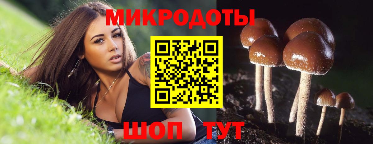 купить наркоту  Псилоцибиновые грибы Magic Shrooms  Вход с VPN  Алушта 